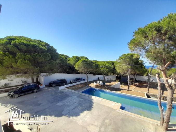 villa au milieu de la foret