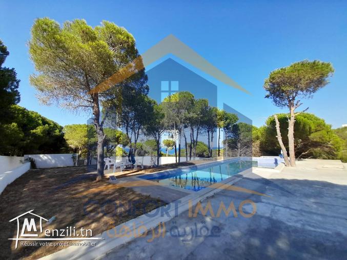 villa au milieu de la foret