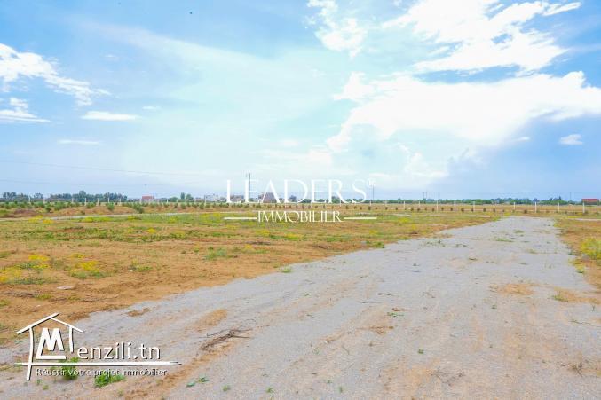 terrain a basatine hammamet