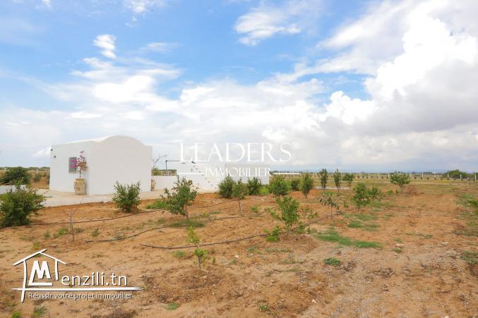 terrain a basatine hammamet