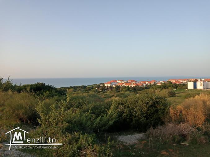 Terrain a vendre situé à hwamdia ville tabarka