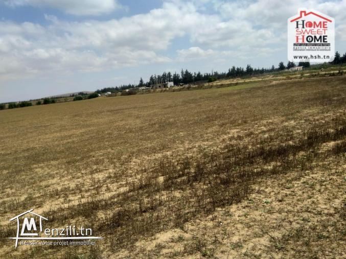 Terrain Agricole Rihane à Vendre à Cherfech, Sidi Thabet