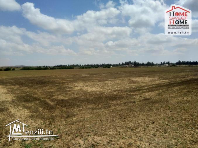 Terrain Agricole Rihane à Vendre à Cherfech, Sidi Thabet