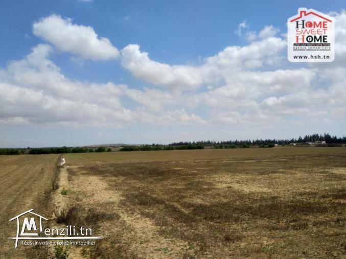Terrain Agricole Rihane à Vendre à Cherfech, Sidi Thabet