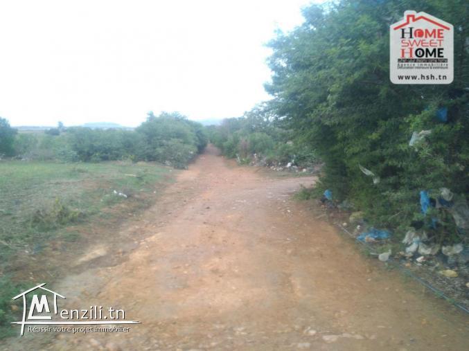 Terrain Agricole Orkida à Vendre à Tébourba