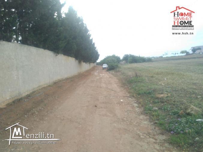 Terrain Agricole Orkida à Vendre à Tébourba