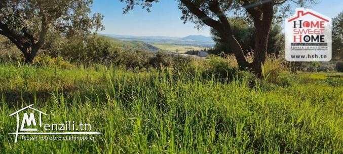 Terrain Agricole Anhar à Vendre à Bizerte