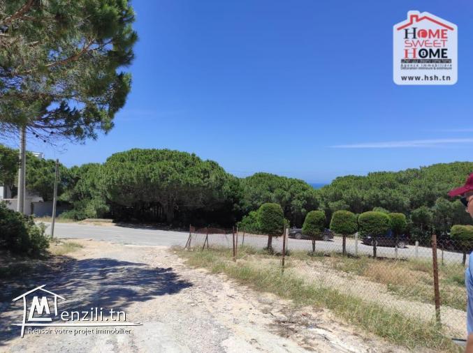 Terrain Villa Elinar à Vendre à Bizerte