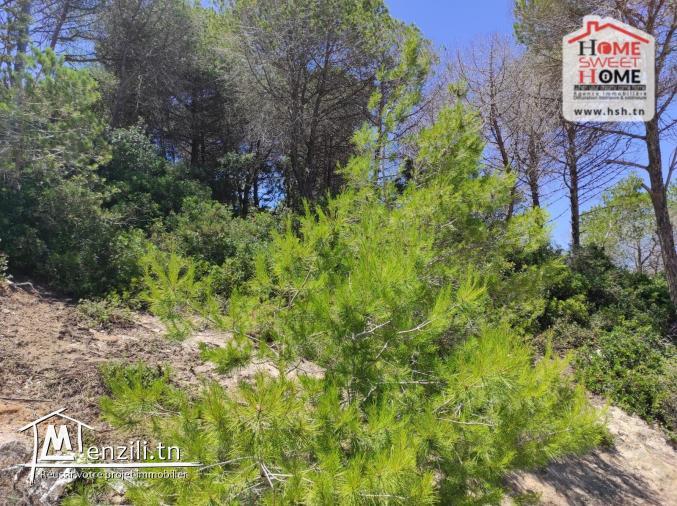 Terrain Villa Elinar à Vendre à Bizerte