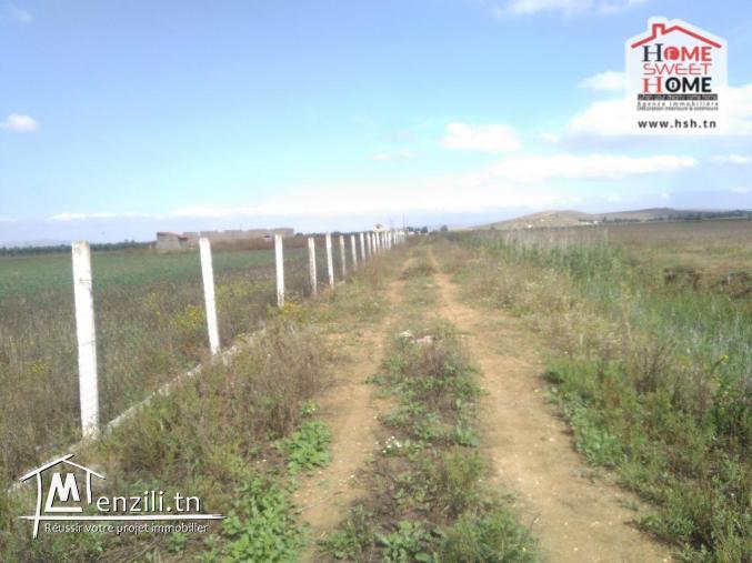 Terrain Agricole Jannet à Vendre à Cherfech, Sidi Thabet