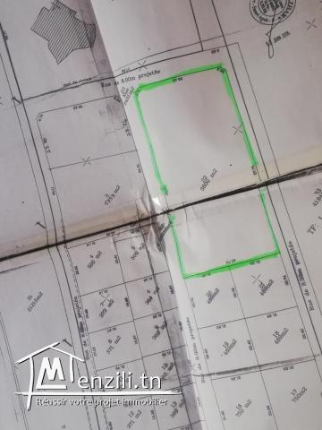 Terrain Pied Dans L`eau A Kelibia A 400 Dt/m2