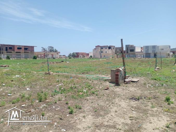 terrain nu a kélibia