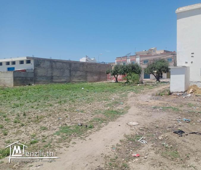 terrain nu a kélibia