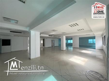 Open Space Lorraine à Louer aux Berges du Lac2