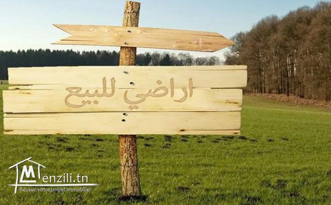 للبيع: قطعة أرض مسجلة في دفتر خانة بجهة حمام الاغزاز