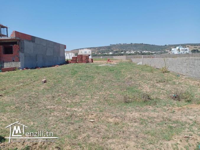 terrain nu a plage ezzahra kélibia