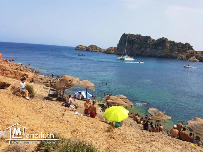 terrain a plage el haouaria pieds dans l'eau