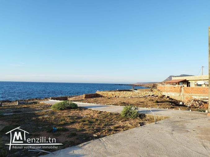 terrain a plage el haouaria pieds dans l'eau