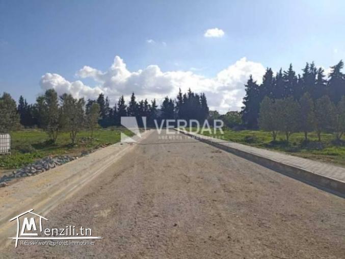 Terrain  de 1000m² a Mornag Cité Chikh