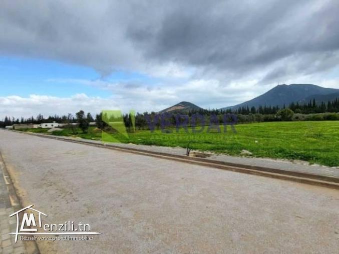 Terrain  de 1000m² a Mornag Cité Chikh