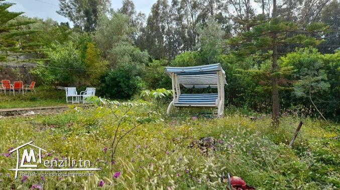 Location maison de vacances à Tabarka