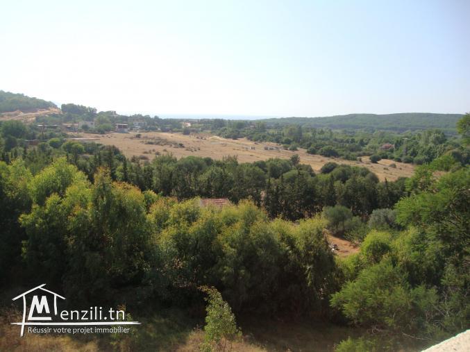 Location maison de vacances à Tabarka