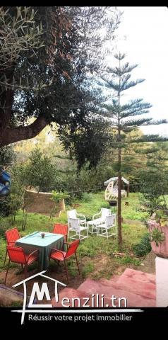 Location maison de vacances à Tabarka