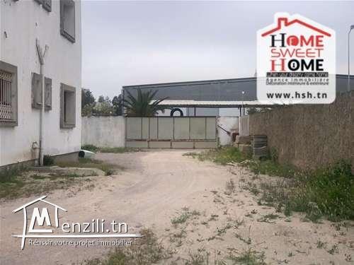 Usine Papaye à Louer à La Zone Industrielle Méghira