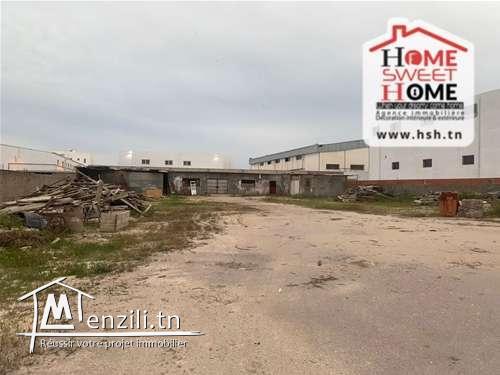 Usine Papaye à Louer à La Zone Industrielle Méghira