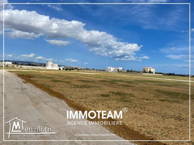 terrain a vendre de 350 m2