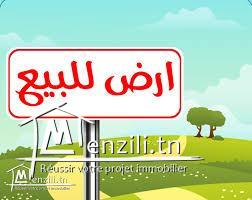 Terrain à vendre à Mnihla rue principale