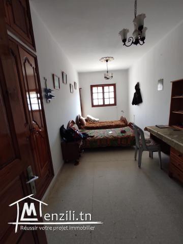 grande maison à vendre