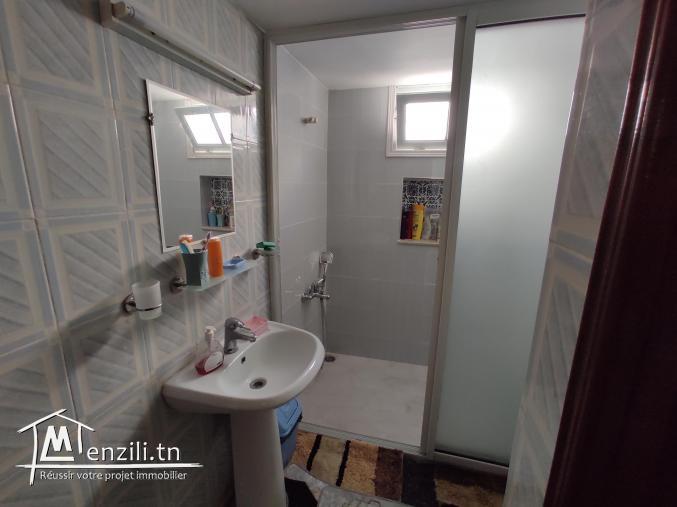 grande maison à vendre