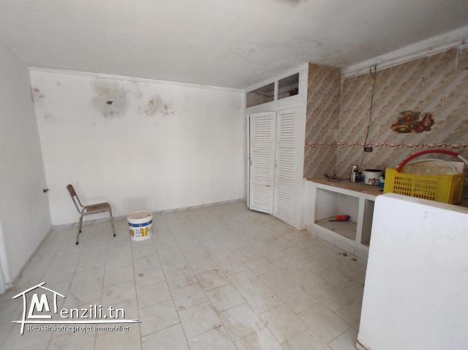 grande maison à vendre