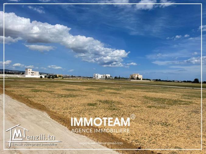 Terrain idéal pour votre projet immobilier