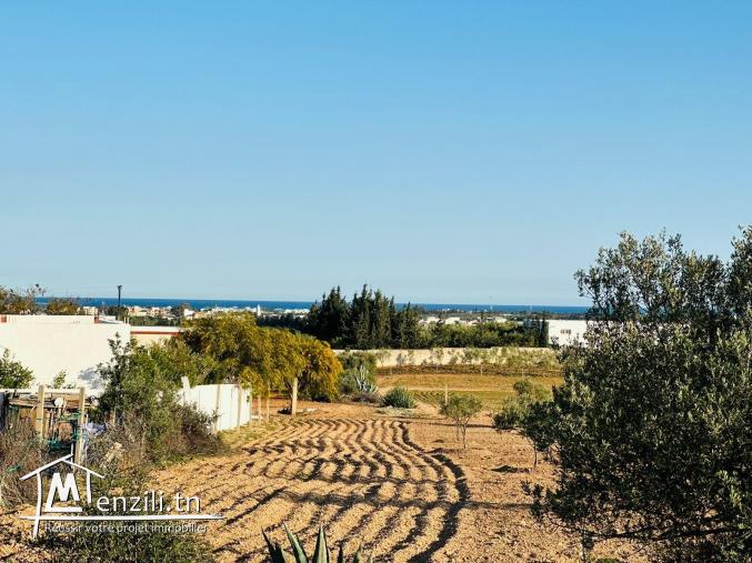 Terrain à vendre à  Hammamet