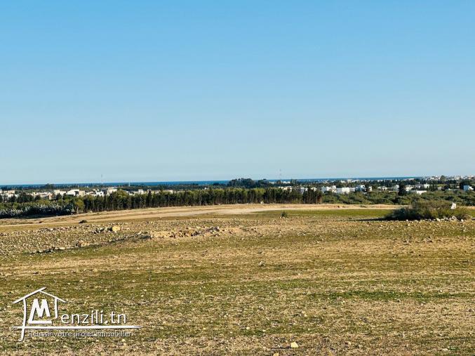 Terrain à vendre à  Hammamet