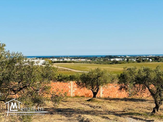 Terrain à vendre à  Hammamet