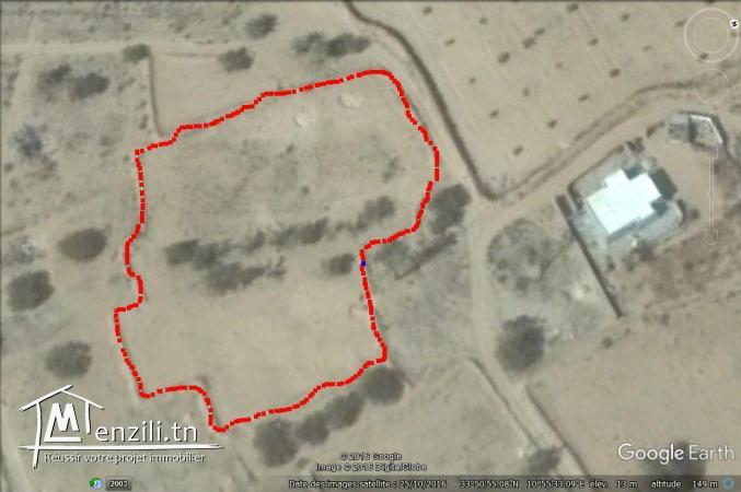 Terrain à vendre à Djerba Ghizen Titre Bleu