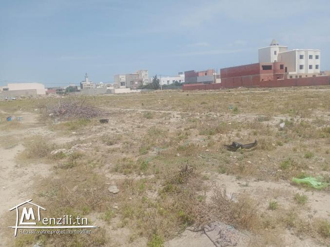 terrain nu a jinen el mansoura kélibia