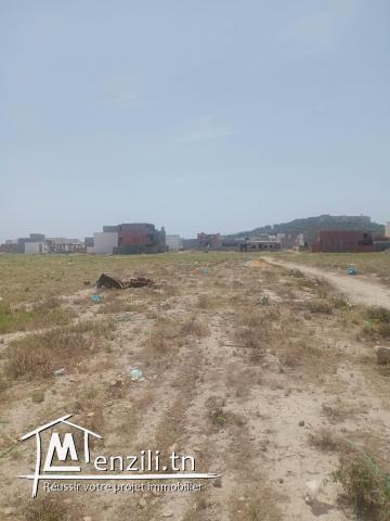 terrain nu a jinen el mansoura kélibia