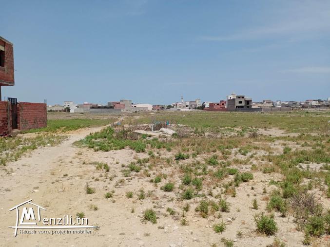 des terrains nu a jinen el mansoura