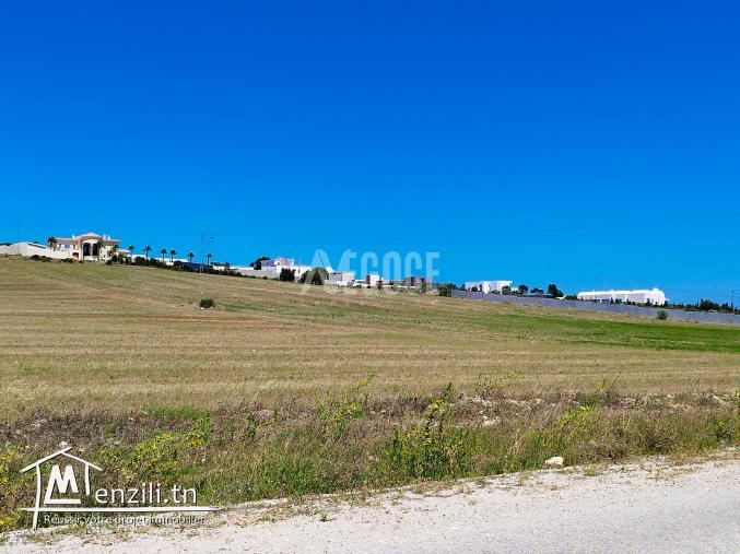 forsa a ne pas rater