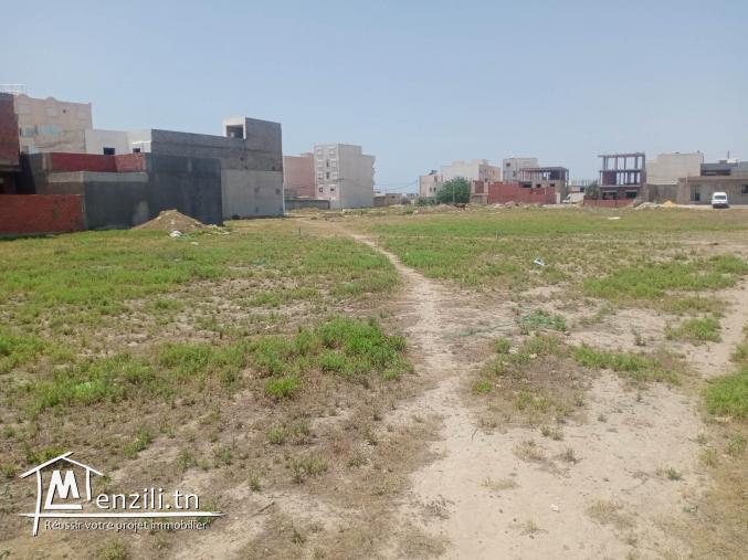 3 terrains nu a jinen el mansoura kélibia