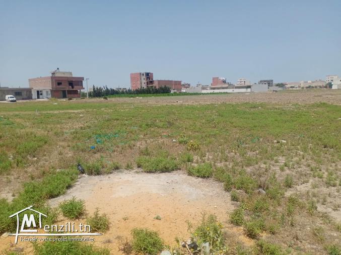 3 terrains nu a jinen el mansoura kélibia