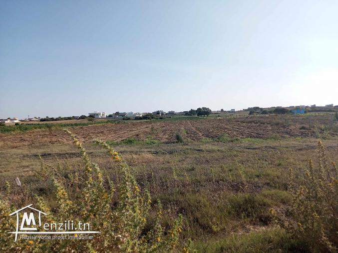 des terrains nu a plage dar allouche kélibia