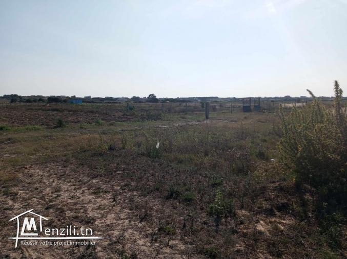 des terrains nu a plage dar allouche kélibia