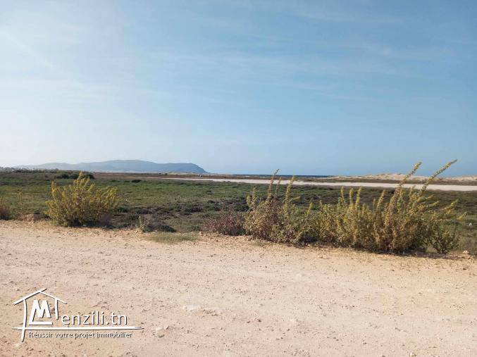 des terrains nu a plage dar allouche kélibia