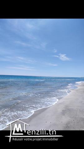 Terrain à kelibia en face maison d'hote dar wissem