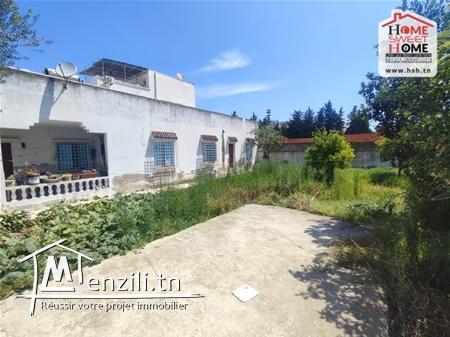 Terrain Andreas À Vendre À La Soukra